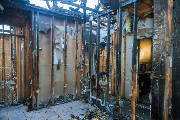 Professional Fire Damage Removal technician working in Joppatowne, MD
